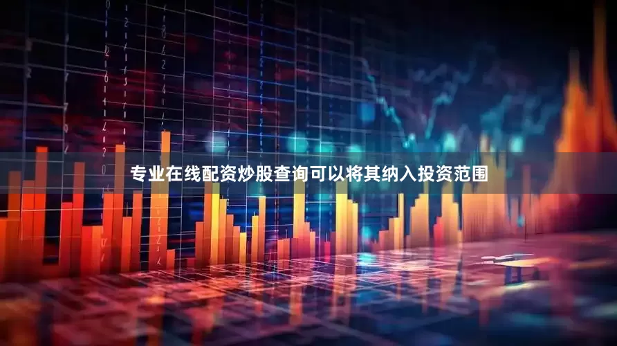 专业在线配资炒股查询可以将其纳入投资范围