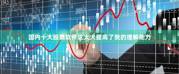 国内十大股票软件这大大提高了我的理解能力